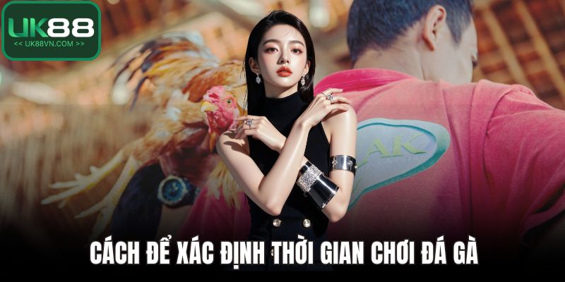 Cách để xác định thời gian chơi đá gà