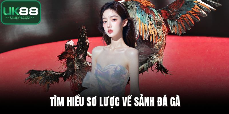 Tìm hiểu sơ lược về sảnh đá gà