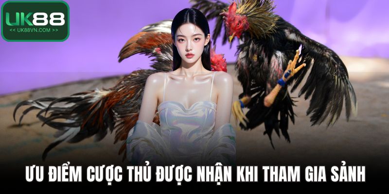 Ưu điểm cược thủ được nhận khi tham gia sảnh